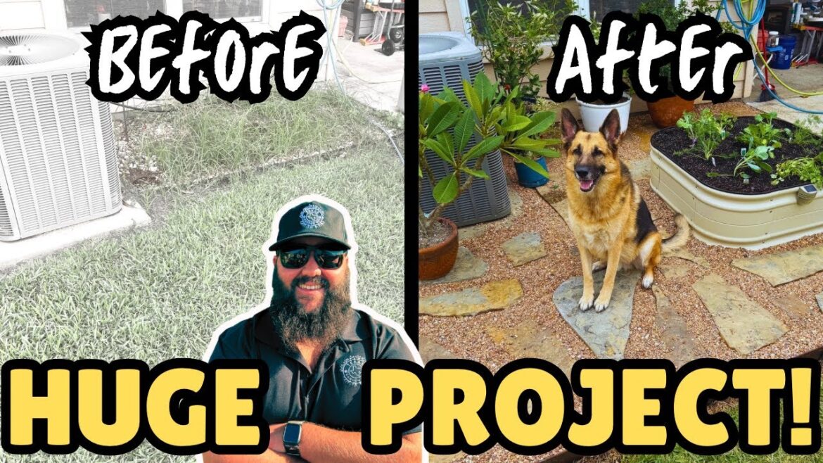 SOLO Patio Garden UPGRADE! | DIY Backyard Landscaping START TO FINISH!