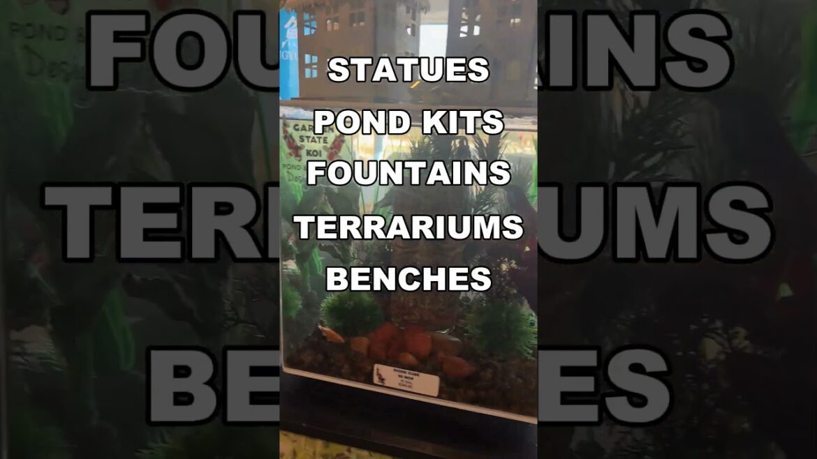 Black Friday Sale at Garden State Koi #BlackFridaySale #ShopLocal Black Friday Sale at Garden State Koi #BlackFridaySale #ShopLocal