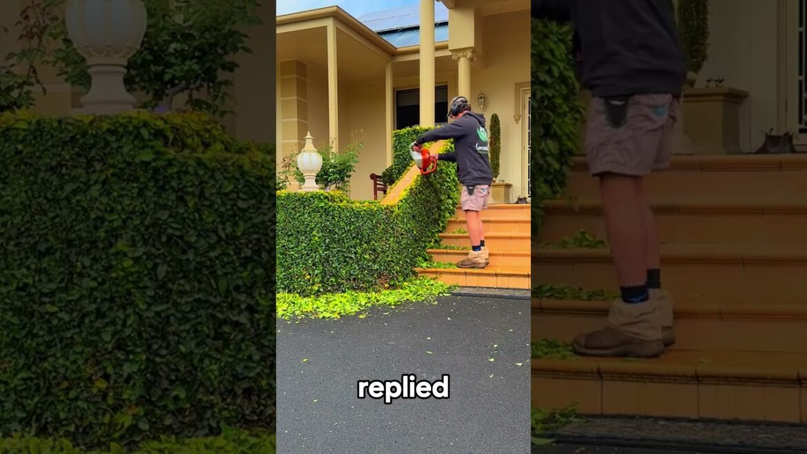 Satisfying Gardening Work 🌳 #garden #cleaning #grass #lawn #viral #fyp #story #158