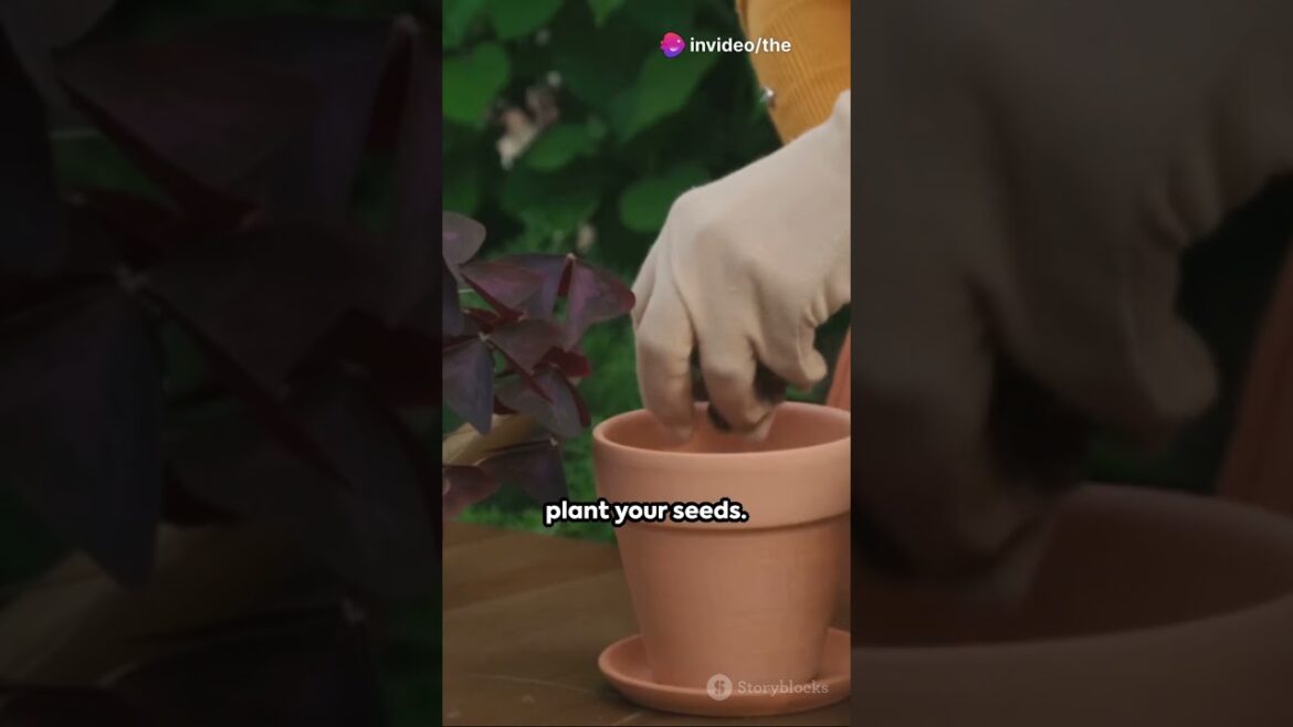 Container Gardening for Small Spaces #garden #gardening #home #survival #lifehacks #shorts #tips