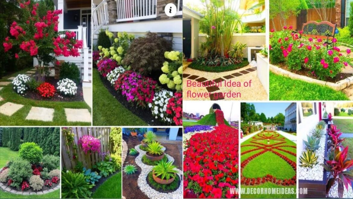 Flower design! flower plantation ideas! flower garden! garden ideas! flower gardening ideas! designs