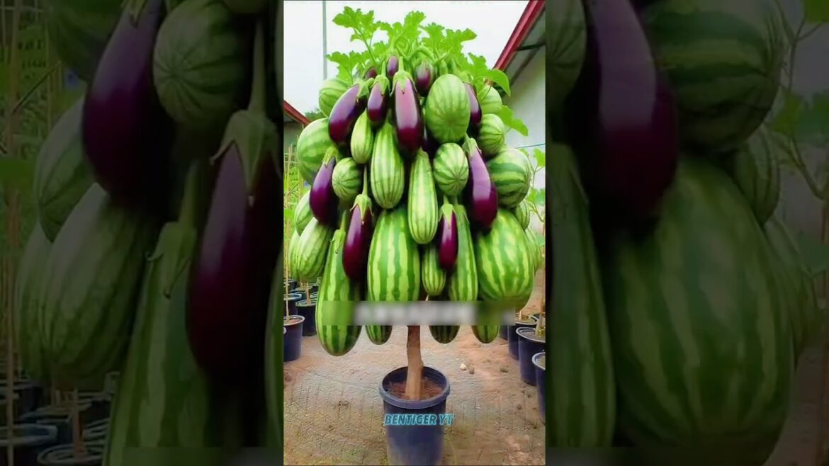 Aap bhi Aisa sabji uga sakte hain!