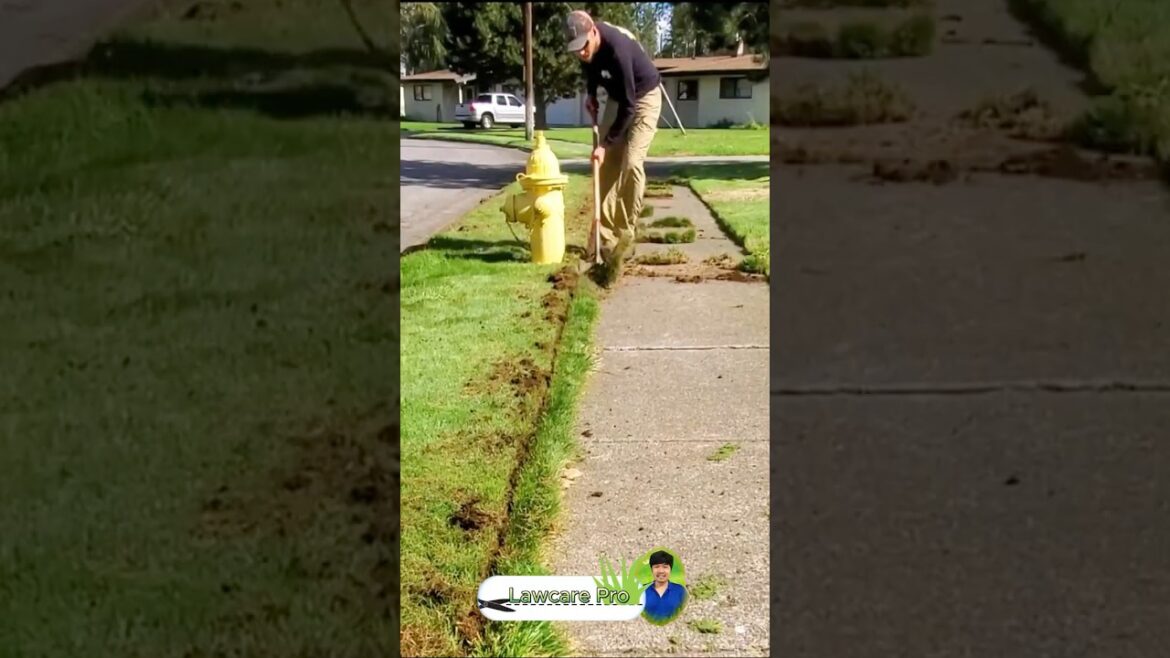 Grass doesn’t care about your plans. "Grass doesn’t care about your plans."