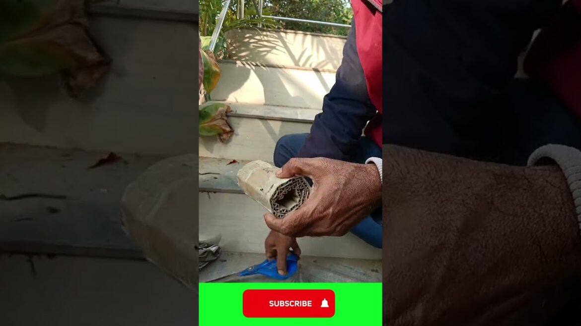 Paudhewale™ - Unboxing Flower Bulbs - Home delivery - Buy plants online. #shortsvideo #paudhewale