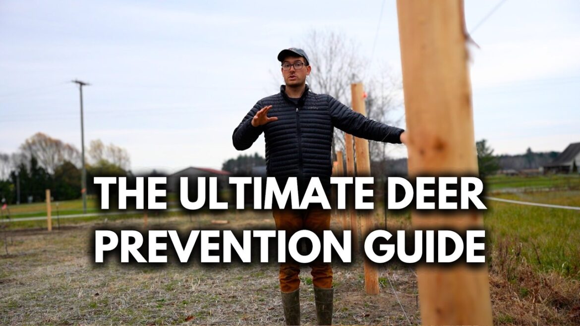 MIgardener: Protect Your Fruit Trees From Animals With This SIMPLE One Minute Solution! Protect Your Fruit Trees From Animals With This SIMPLE One Minute Solution!