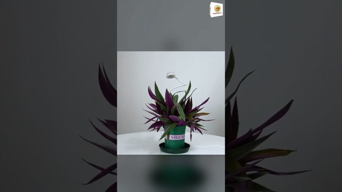 Lights for Indoor Plants | Home appliances | Kitchen items | Smart Gadgets | Amazon useful Product