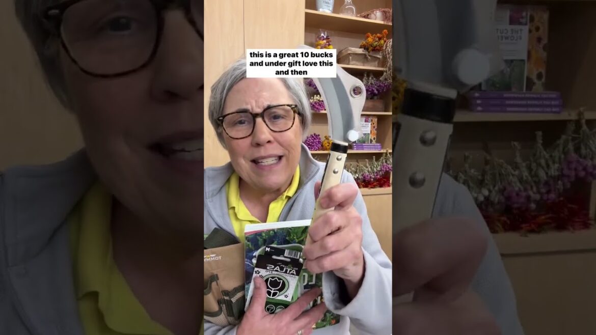 20% offBlack Friday Starts Now at The Gardener’s Workshop! Comment SHOP and I’ll DM the link to my