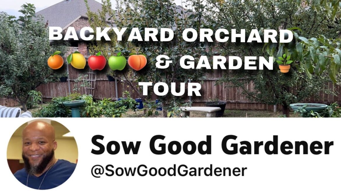 BACKYARD ORCHARD 🍊🍋🍎🍏🍑 & GARDEN 🪴 TOUR
