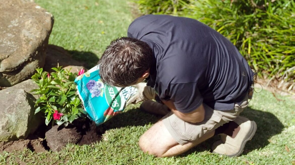 The Garden Gurus - Organic Potting   The Differences