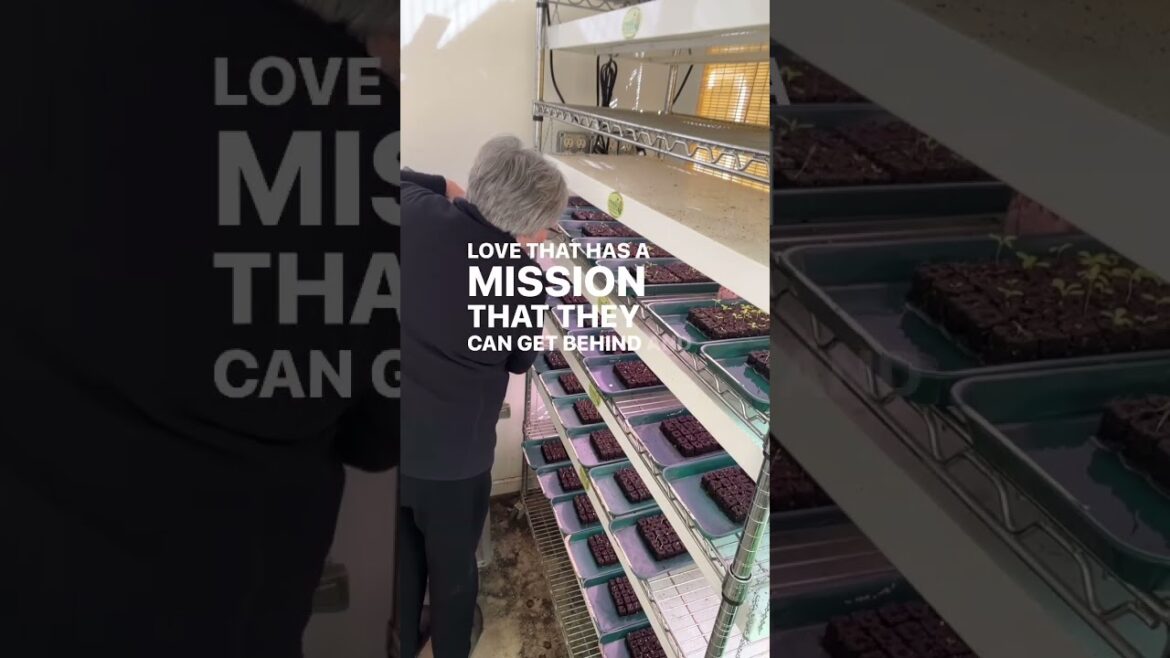 It’s #smallbusinesssaturday — support local! Comment SHOP and I’ll DM the link to my store or head It’s #smallbusinesssaturday — support local! Comment SHOP and I’ll DM the link to my store or head