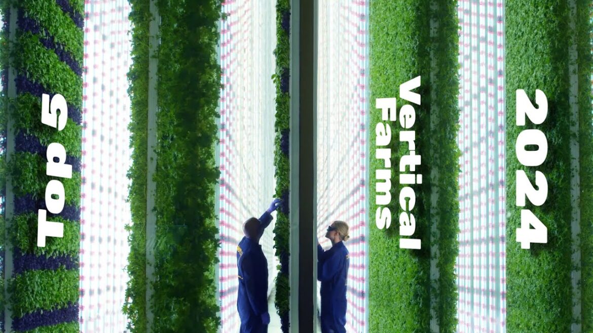 Top 5 Vertical Farms in 2024 Top 5 Vertical Farms in 2024