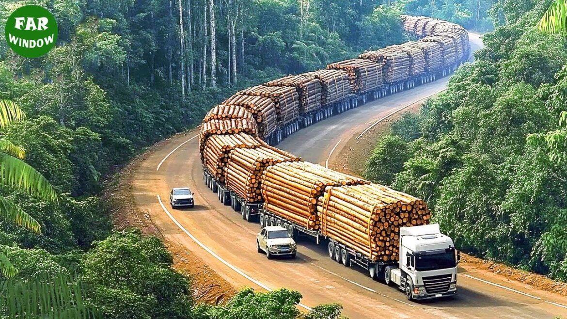 Jaw-Dropping Dangerous Transport Skill | Heavy Machinery Operating at Peak Efficiency