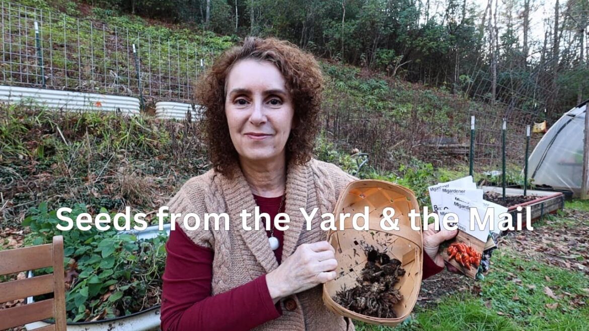 Saving Seeds from the Yard for Next Summer Saving Seeds from the Yard for Next Summer