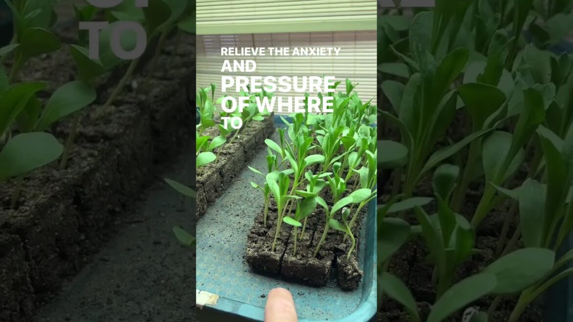 My medicine is hard stuff first and move on