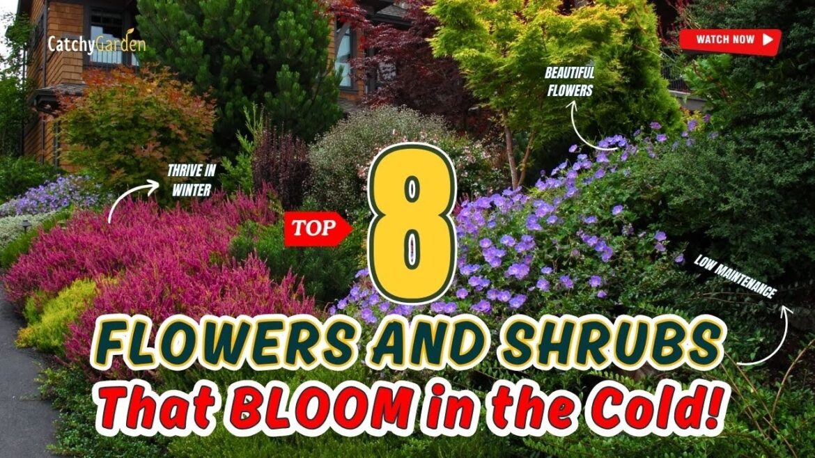 Top 8 Plants That BLOOM in the Cold! π·βοΈπΉ Top 8 Plants That BLOOM in the Cold! π·βοΈπΉ