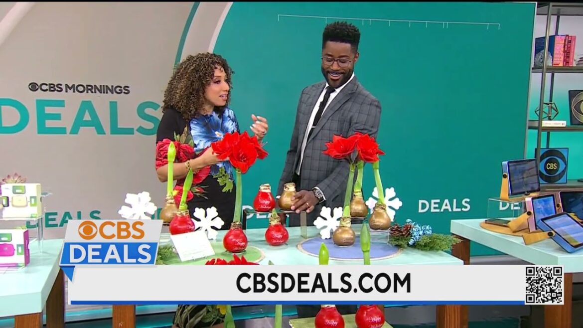 CBS Deals - Cottage Farms Direct