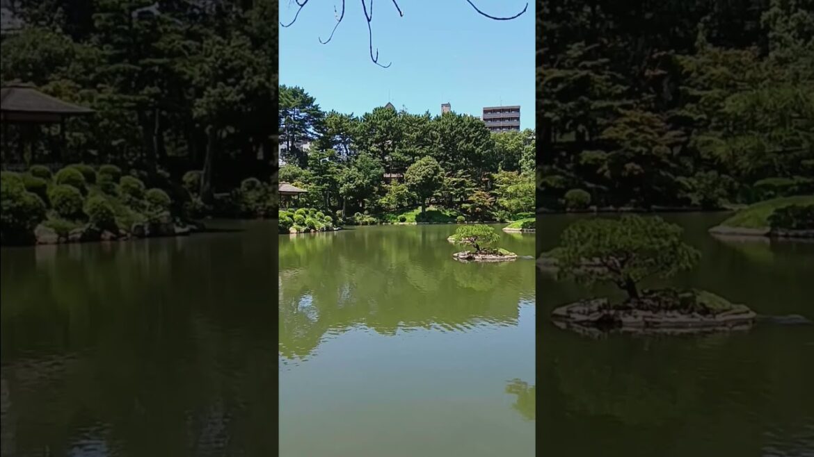Shukkeien Garden Japan July 20240729 120925 #shorts