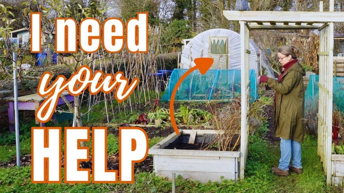 Future plans for the garden – what I’m looking forward to getting on with Future plans for the garden - what I'm looking forward to getting on with