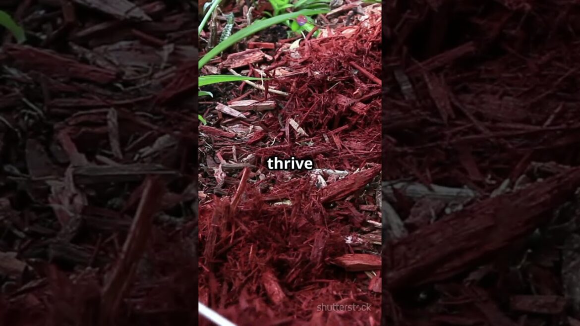 5 Quick Tips to Extend Your Growing Season 🌱#shorts  #gardeningideas #gardeningtips #garden #farming