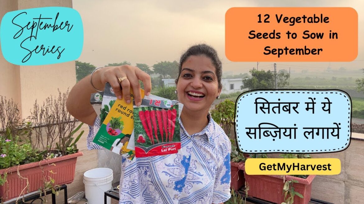 Sow these Vegetables in September | सितंबर में उगने वाली सब्जी #gardening