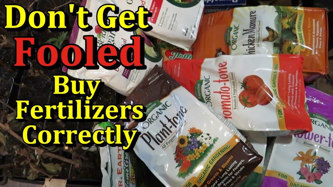 Gary Pilarchik: Buying Organic Garden Fertilizers the Right Way (Don’t Overpay, What to Buy, & How to Use Them) Buying Organic Garden Fertilizers the Right Way (Don't Overpay, What to Buy, & How to Use Them)