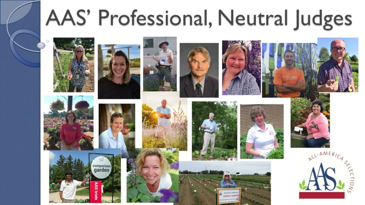 All-America Selections Flowers & Vegetables: What is AAS recording for Display Gardens What is AAS recording for Display Gardens