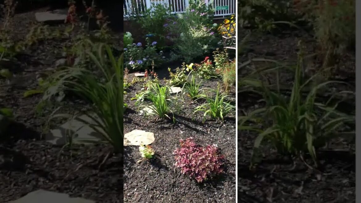 Summer Garden Design in Dracut, MA