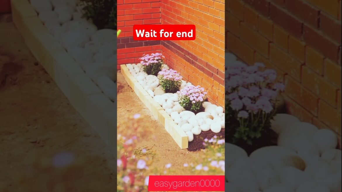 Garden design #garden #gardendesign #shorts#star making with paper Garden design #garden #gardendesign #shorts#star making with paper