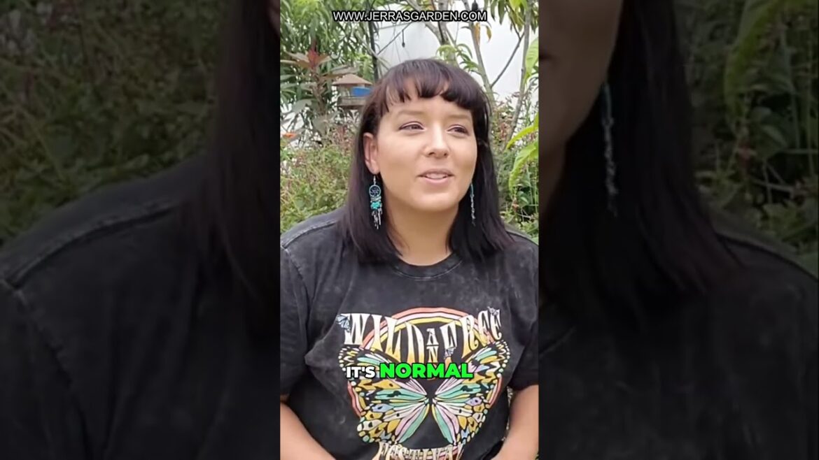 Summer Gardening Tips: Maximizing Crop Growth and Pest Prevention Summer Gardening Tips: Maximizing Crop Growth and Pest Prevention