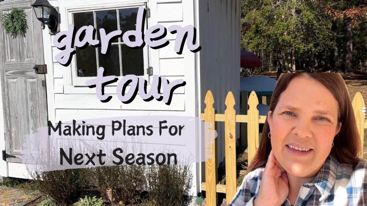 Kitchen Garden + Plans For Next Season!