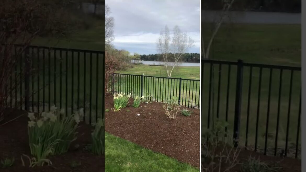 Westford, MA Garden Design
