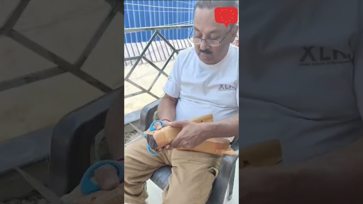 Paudhewale™ Unboxing of Indoor Plant | #paudhewale #indoorplants #buy #gardening #garden #indoor Paudhewale™ Unboxing of Indoor Plant | #paudhewale #indoorplants #buy #gardening #garden #indoor