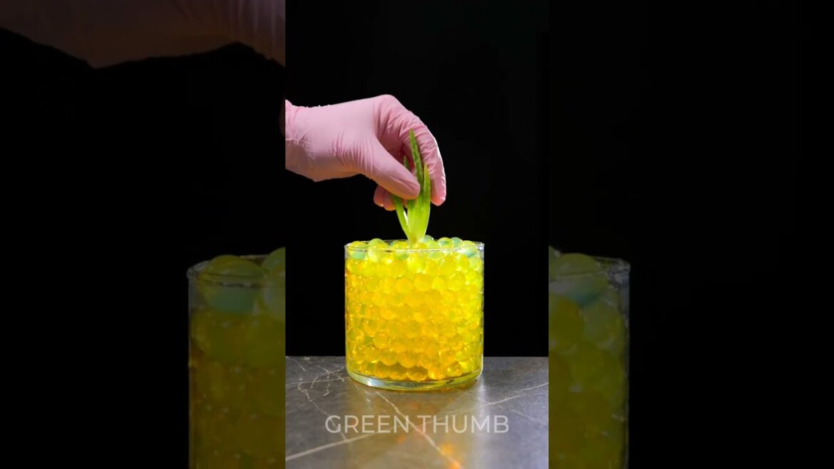 Simple planting techniques will surprise you!