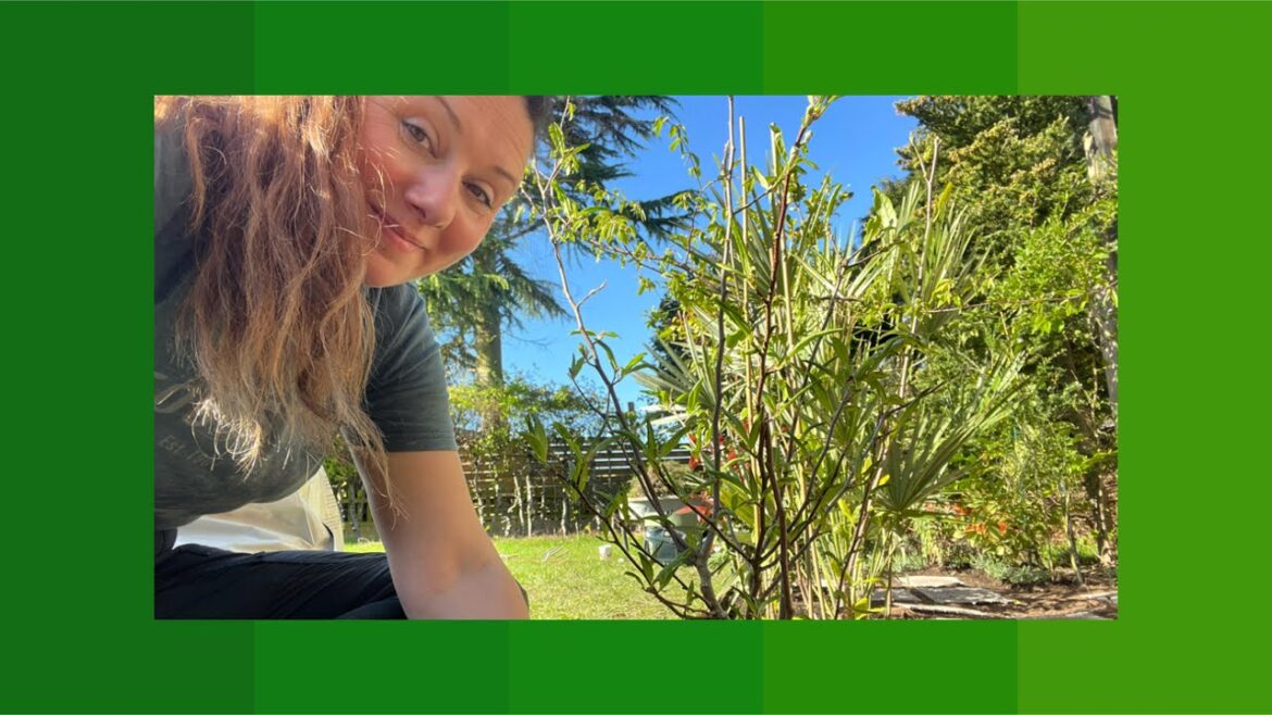 Garden Calm | New Channel, Plans & Ideas ๐ฟ๐ Garden Calm | New Channel, Plans & Ideas ๐ฟ๐