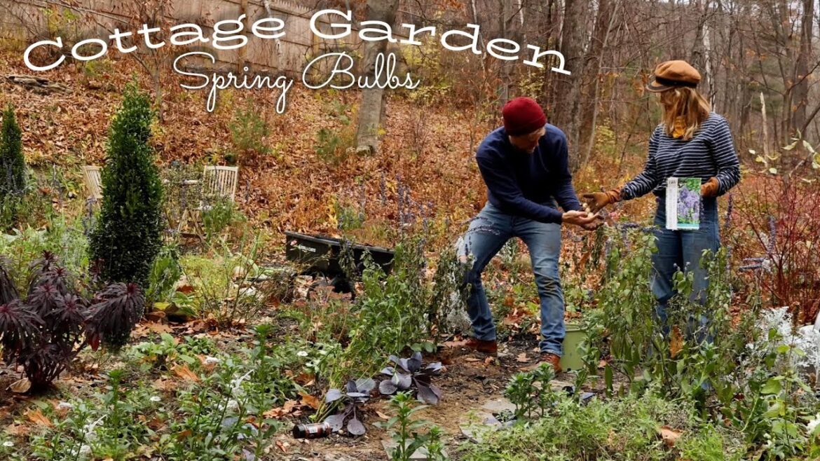 Planting Hundreds of Spring Bulbs in Our Cottage Garden | Cottage Garden Design for Early Spring