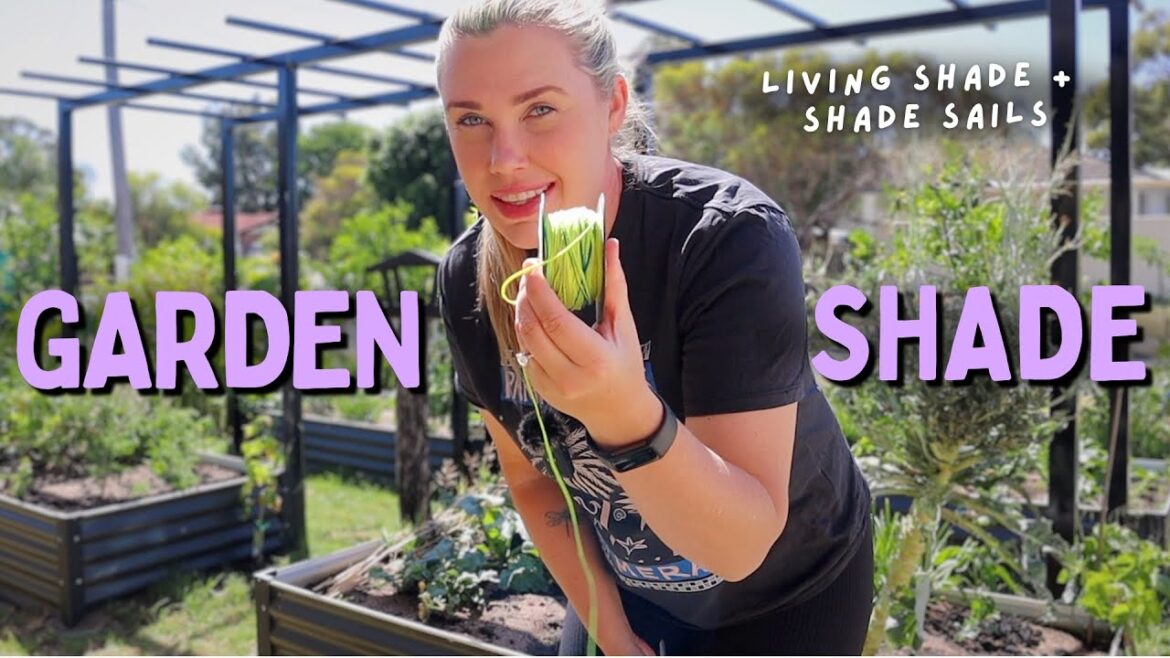 Growing Vertical Gardens + Setting up Shade to protect Summer Plants ☀️🌳