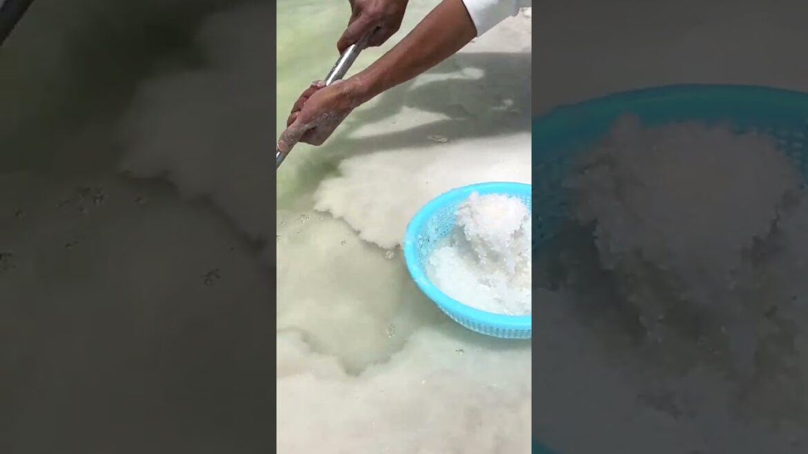 6719 🍓🍇🍊🍍🥦 #gardening #instafood #fruit #veggie #newholland