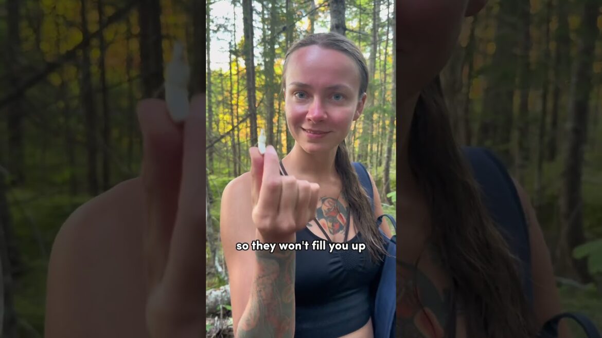 I Found A Secret Forest Snack In Maine