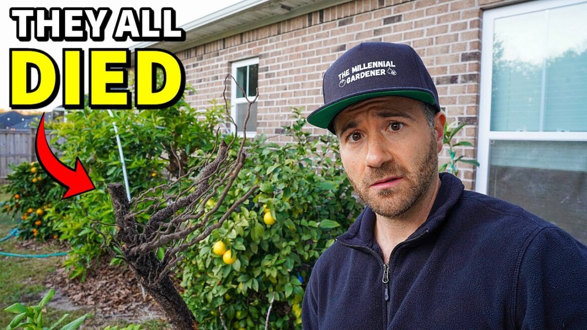 Tragedy Has Struck In The Garden...