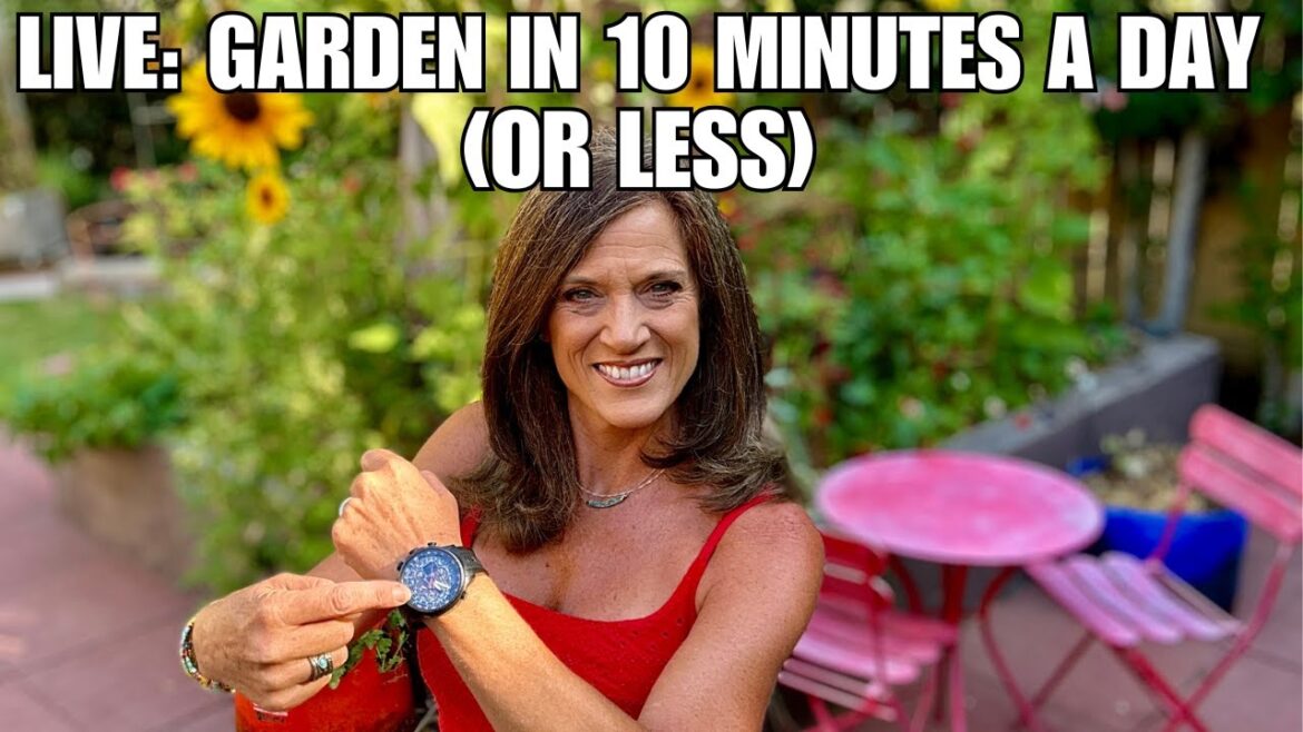 LIVE: No Time for a Garden? Time-Saving Tips to Grow in 10 Minutes or Less!
