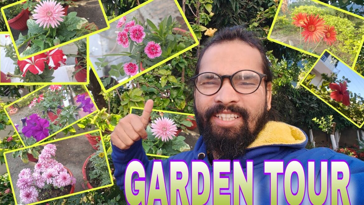 GARDEN TOUR WITH ME DAILY VLOG| HALDWANI VLOG #GardenTour,#gardeninginspiration