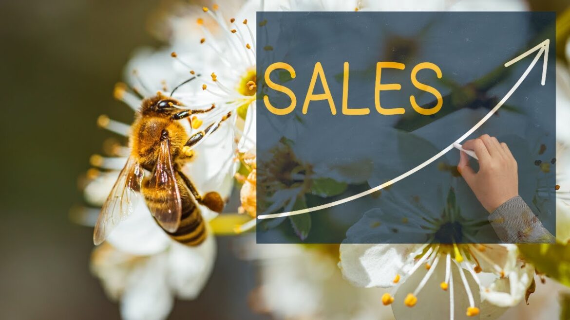 My IGC Is Going Broke, What To Do for 2025?  Innovation Series To Skyrocket Your Profits