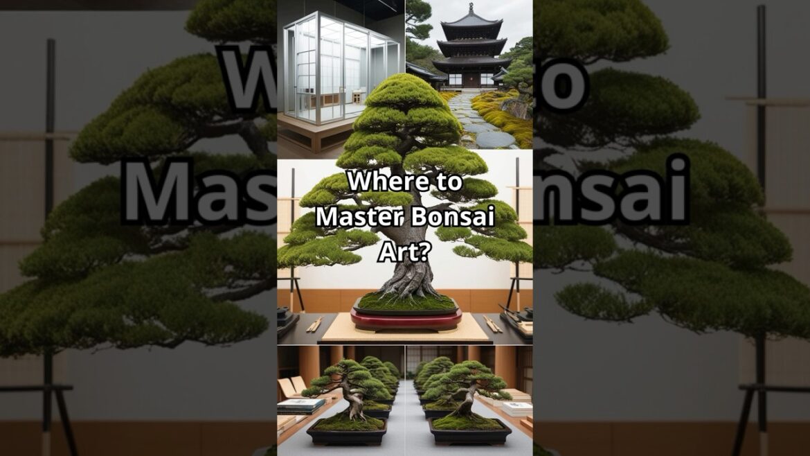 Where to Master Bonsai Art? #bonsaitree #garden #homedecor #bonsai #plants #gardening  #facts