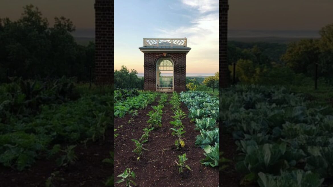 Thomas Jefferson’s Vision for Agriculture & Sustainable Land Use 🌿🇺🇸