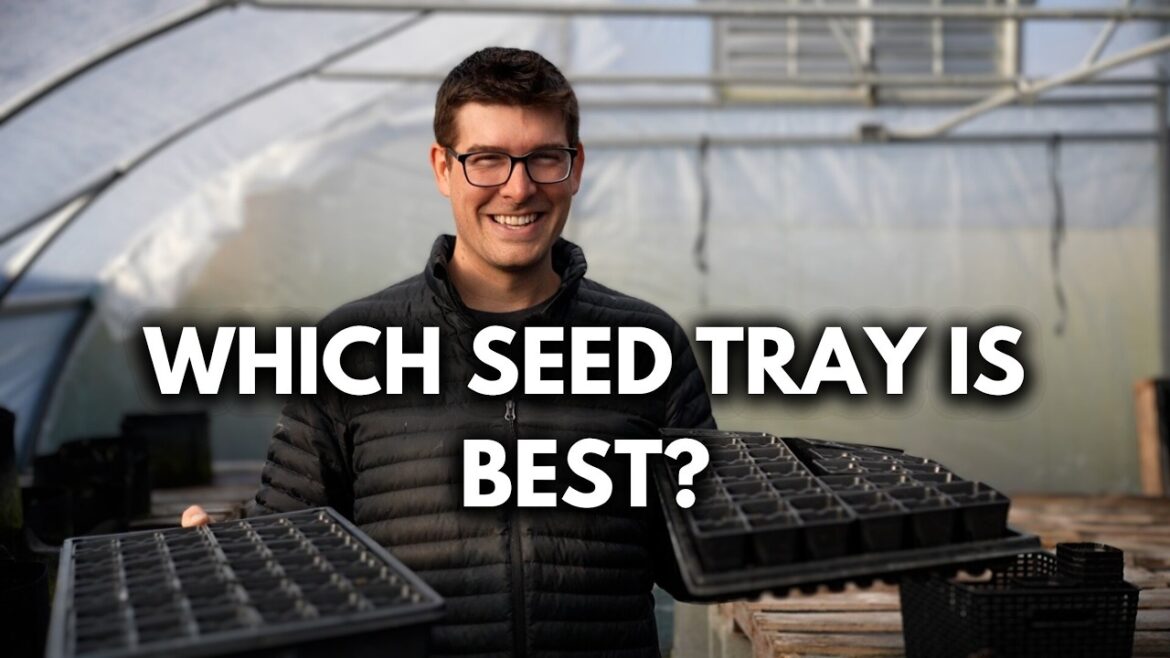 MIgardener: Shallow Vs. Deep Seed Starting Trays – Which is BEST? Shallow Vs. Deep Seed Starting Trays - Which is BEST?