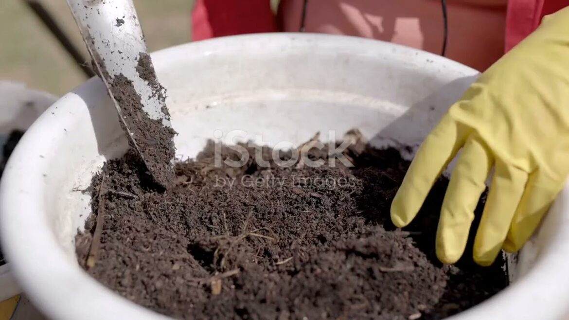 Container Gardening 101: Step-by-Step Guide for Beginners Container Gardening 101: Step-by-Step Guide for Beginners