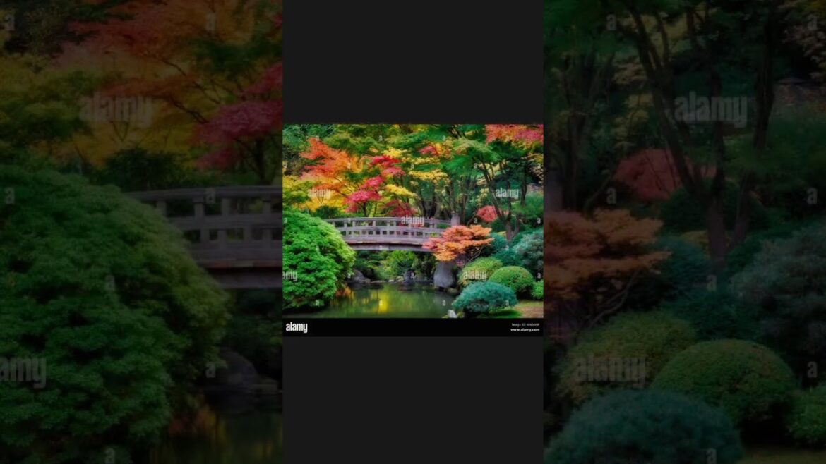 Landscape Japanese garden and hill