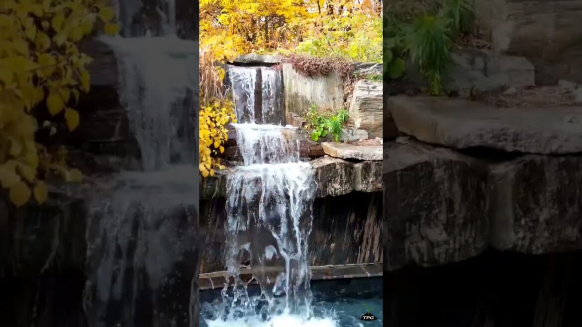 Home Design Ideas: Water Garden #design #home #waterfall #garden