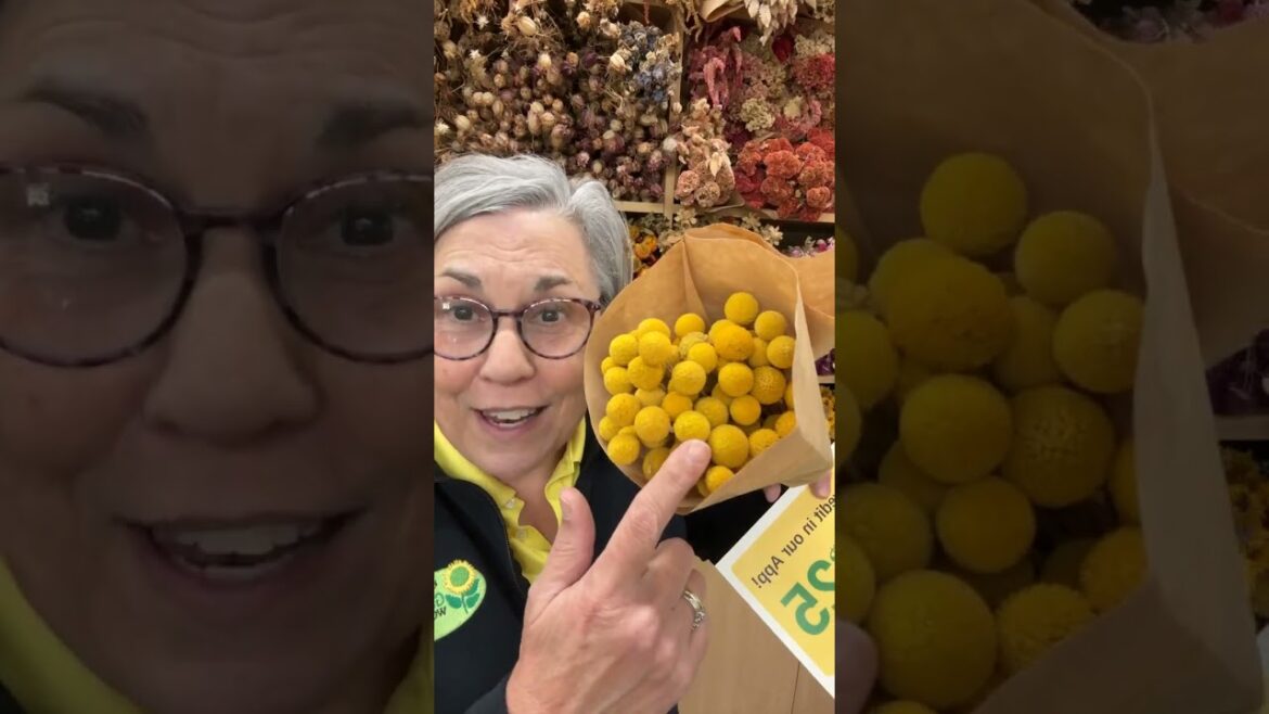 Live show with a giveaway! 12noon ET Comment APP and I’ll DM the link to get Live show with a giveaway! 12noon ET Comment APP and I’ll DM the link to get