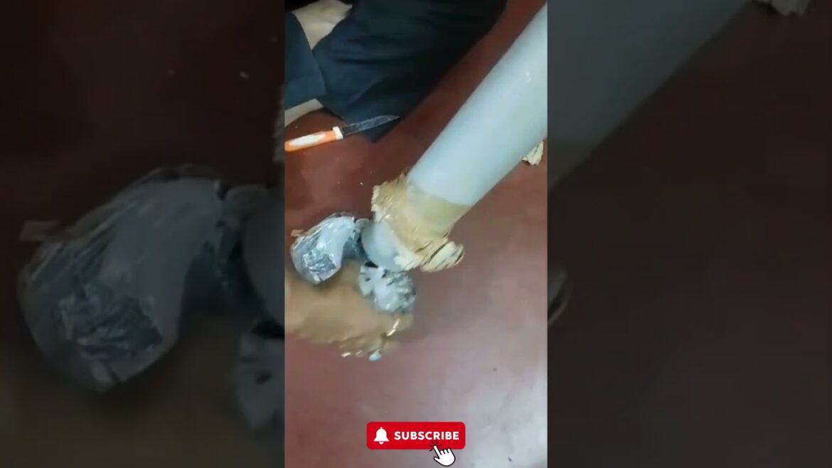 Paudhewale™  - Unboxing Fruit Plants - Apple fruit and Cherry Fruit Plant  #shorts #review #unboxing